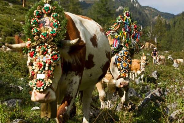 Brauchtum im Almsommer im Salzburger Land ©Salzburg Land Tourismus